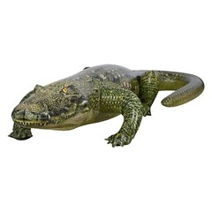 Jet Creations Inflatable Alligator Crocodile 49″ Animal Toy for Party Home Decor