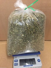 botanical marshmallow herb leaf ORGANIC medicinal cut high quality 1 lb Pound