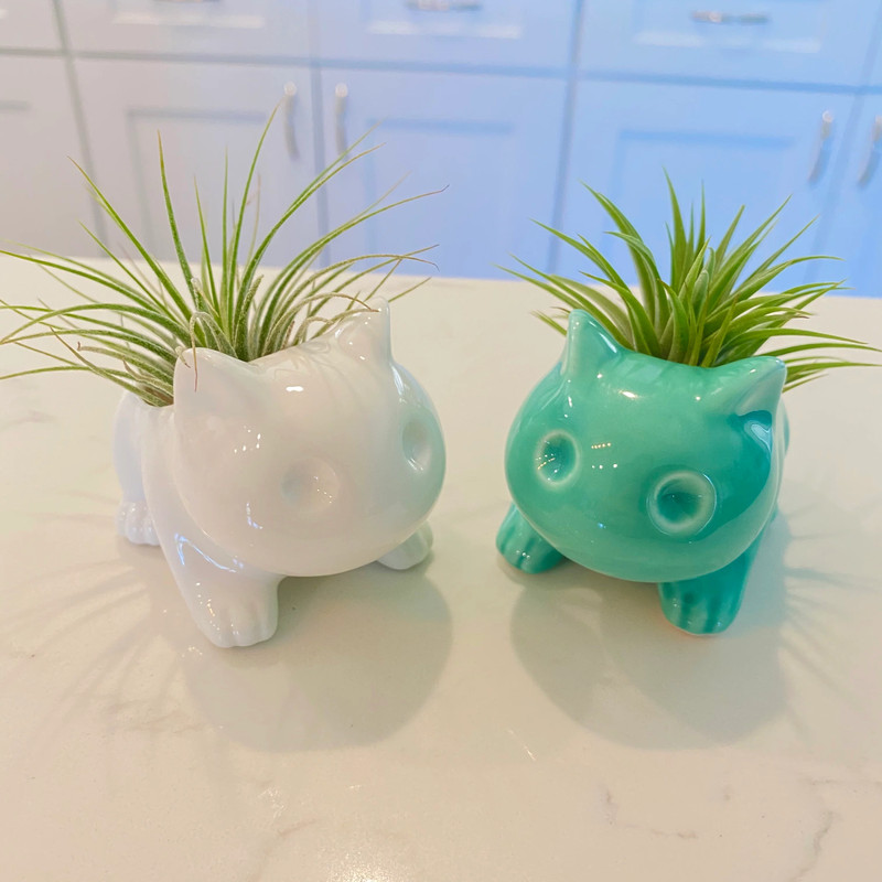 Bulbasaur Planter br (Includes Drainage Hole For Non Air Plants) gallery