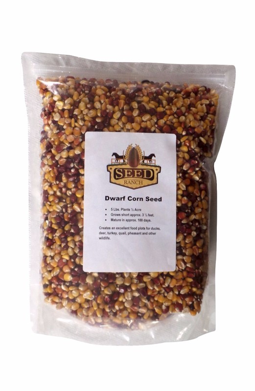 Roundup Ready RR Dwarf Corn Food Plot Seed - 5 Lbs. gallery