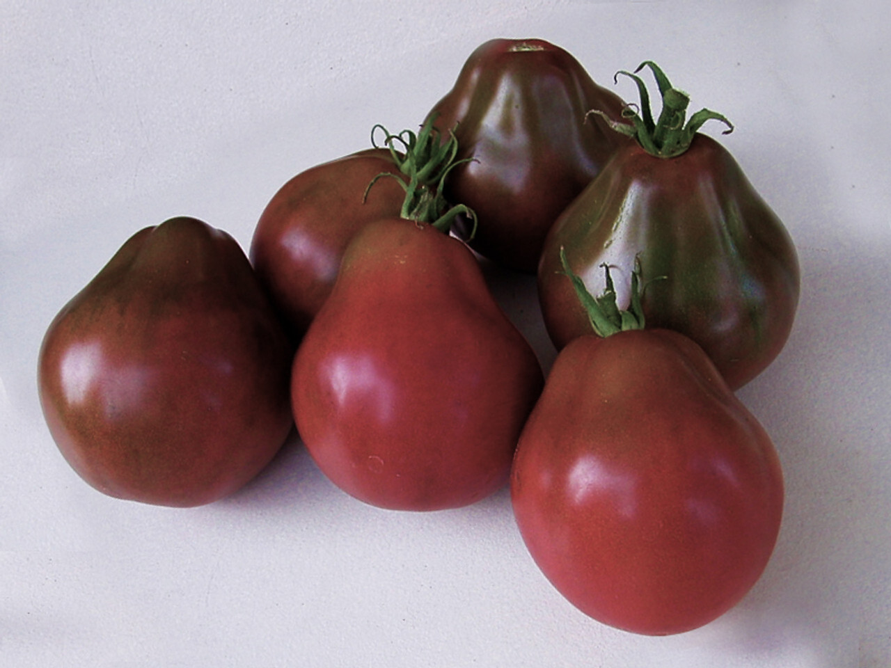 30 BLACK TRUFFLE TOMATO SEEDS ~ 2026 ~ heirloomseedguy ~ USA gallery