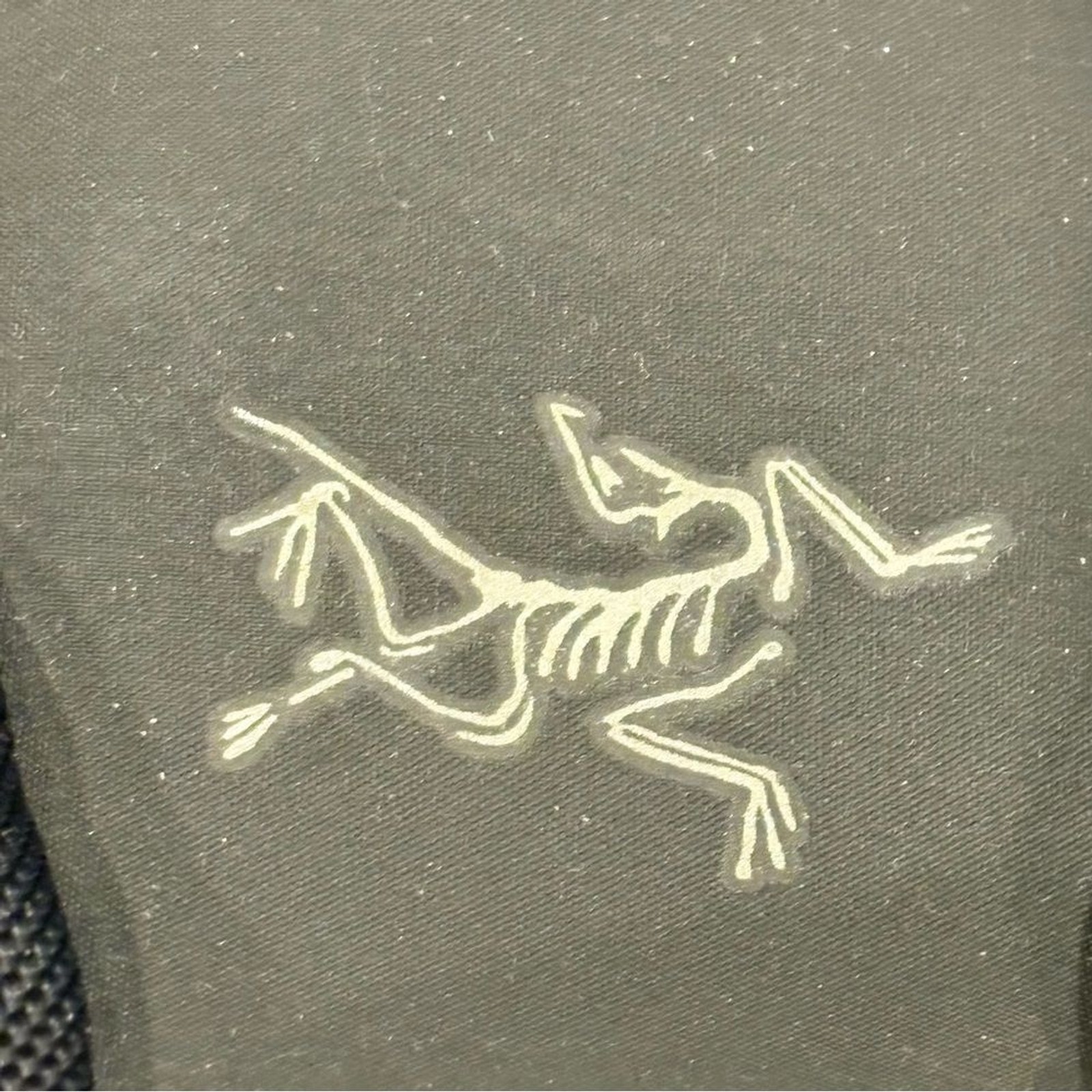 Arc’teryx RARE  Flare Backpack 2013 5