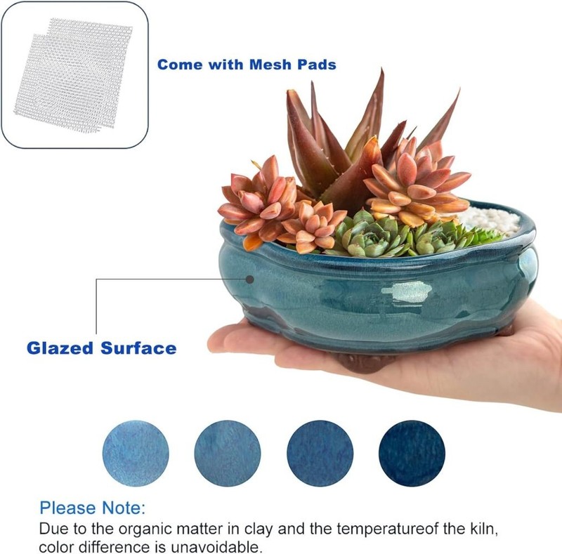 Ceramic Small Oval Glazed Bonsai Planter Pot Cactus Succulent Pots Drainage Hole gallery