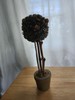 Pinecone Topiary, 13 Inches Tall By 4 1/2 Inches Wide. gallery
