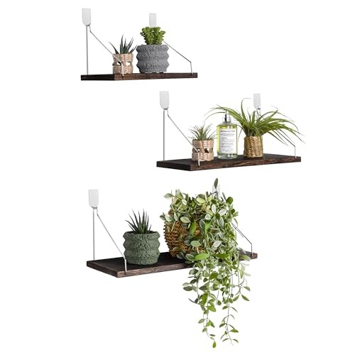 Floating Shelves Set of 3 Rustic Solid Wood Floating Shelf L+M+S Retro Color gallery