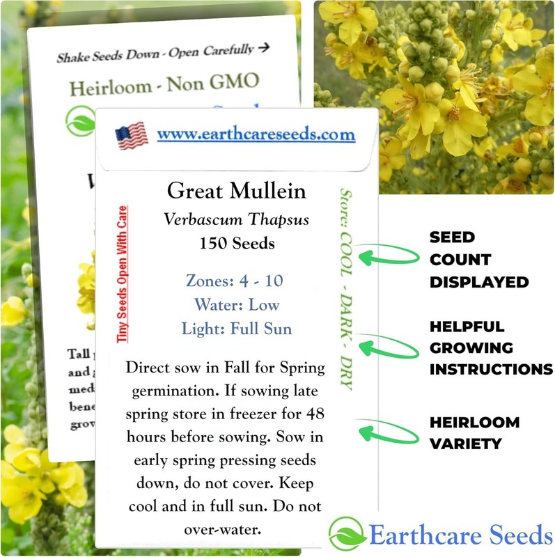 Pollinator-Friendly Heirloom Mullein Seeds - 150 Non-GMO for Your Outdoor Garden gallery