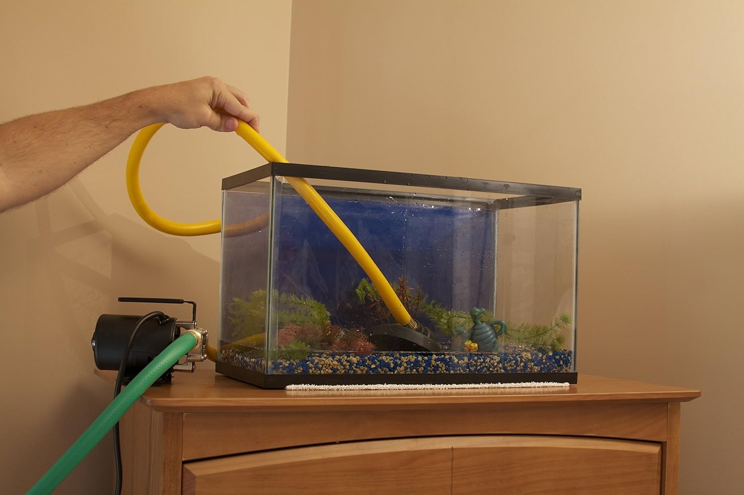 Compact High Flow Water Transfer Pump with Bronze Construction and Suction Hose gallery