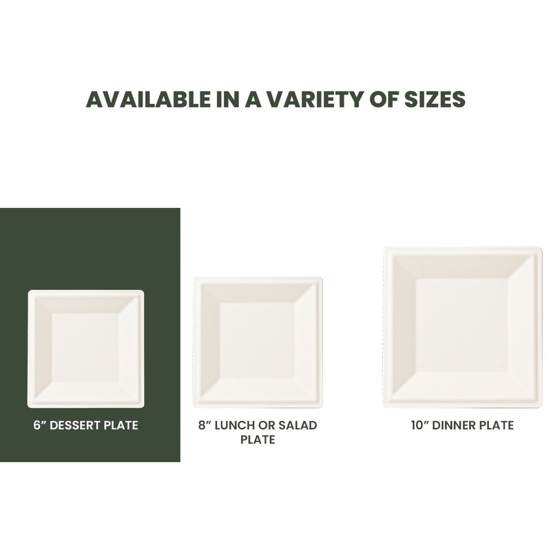 FPN Disposable Plates Square for Party Eco-Friendly Microwave-safe : 6"|8"|10" gallery