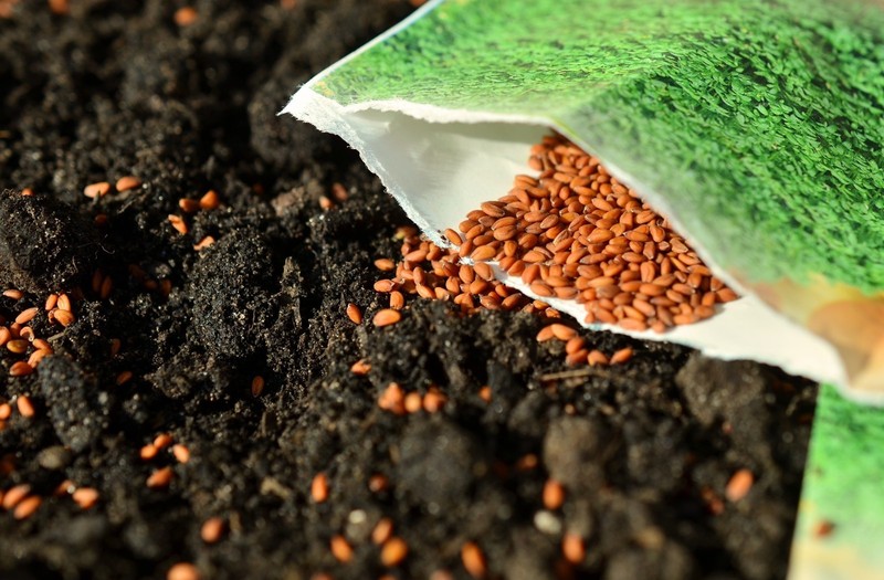 1lb ORIGINAL SUPER SOIL CONCENTRATE for AUTOFLOWER by NATURE'S LIVING SOIL 1lb gallery