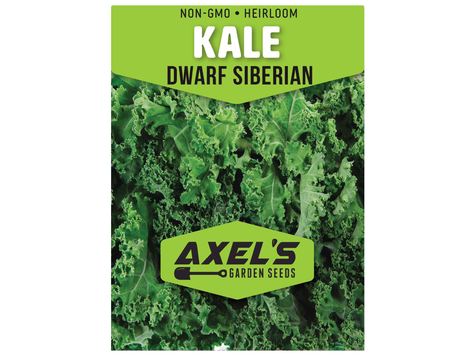 Dwarf Siberian Kale Seeds | Non-GMO | Heirloom | Fresh Garden Seeds gallery
