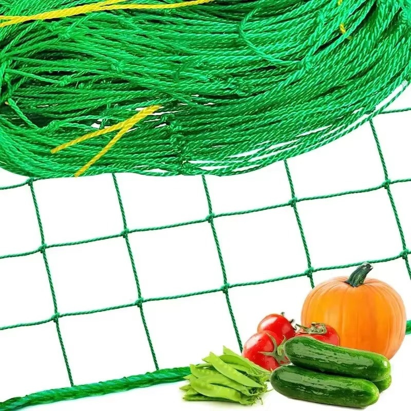 Plant Trellis Netting Heavy Duty Polyester Grow Mesh for Climbing Vegetables gallery
