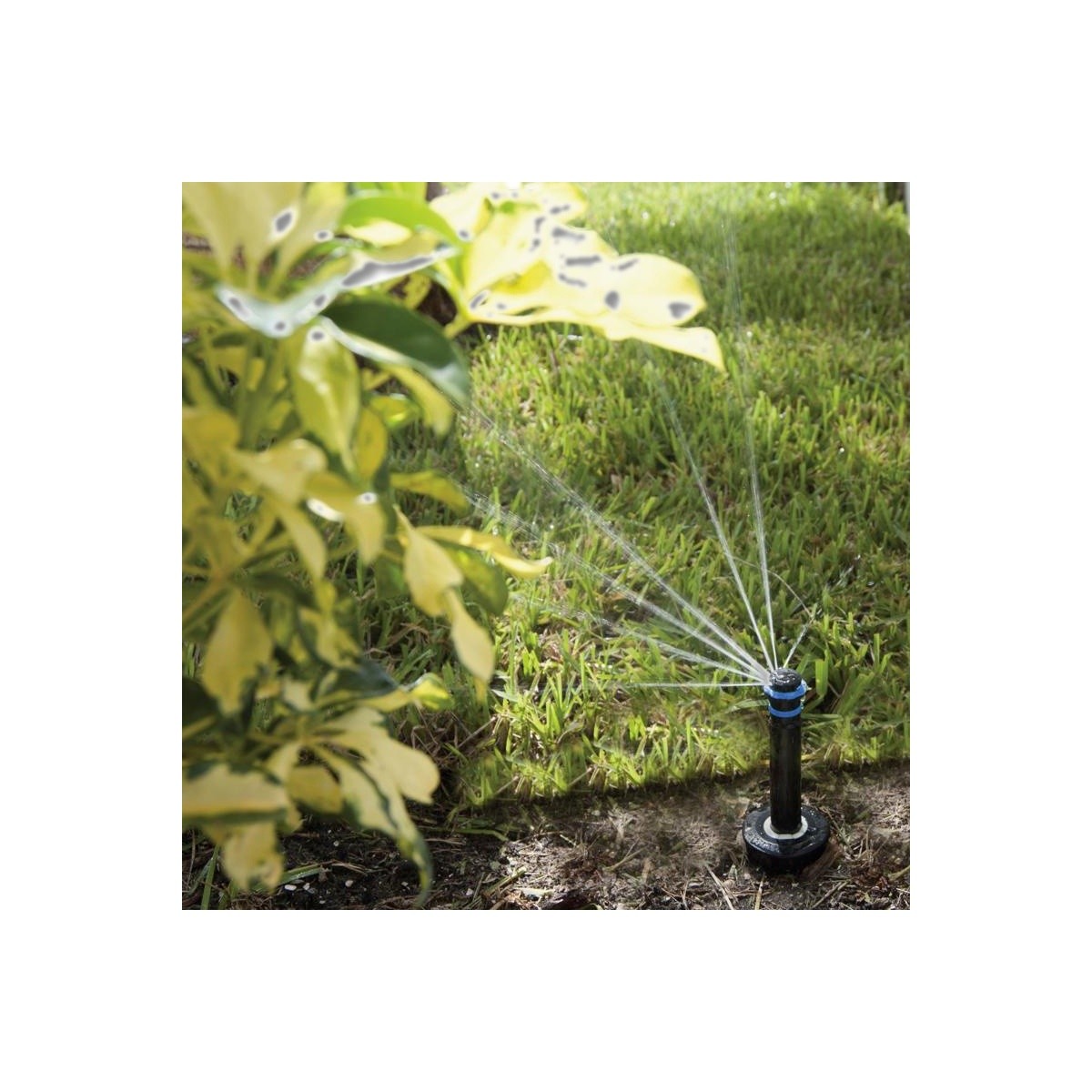 K Rain Pro S 4 in Adjustable Pop-Up Rotary Spray Nozzle 30652-PR40 gallery
