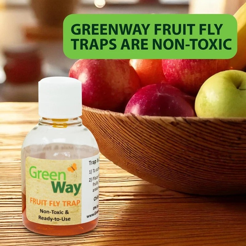 GreenWay Fruit Fly Trap Non-Toxic, Ready-to-Use, Long-Lasting gallery