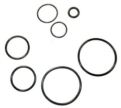 Fits ALL Starite System 3 Filter O-ring Kit 21″/25″ Tanks 35505-1423, 35505-7438
