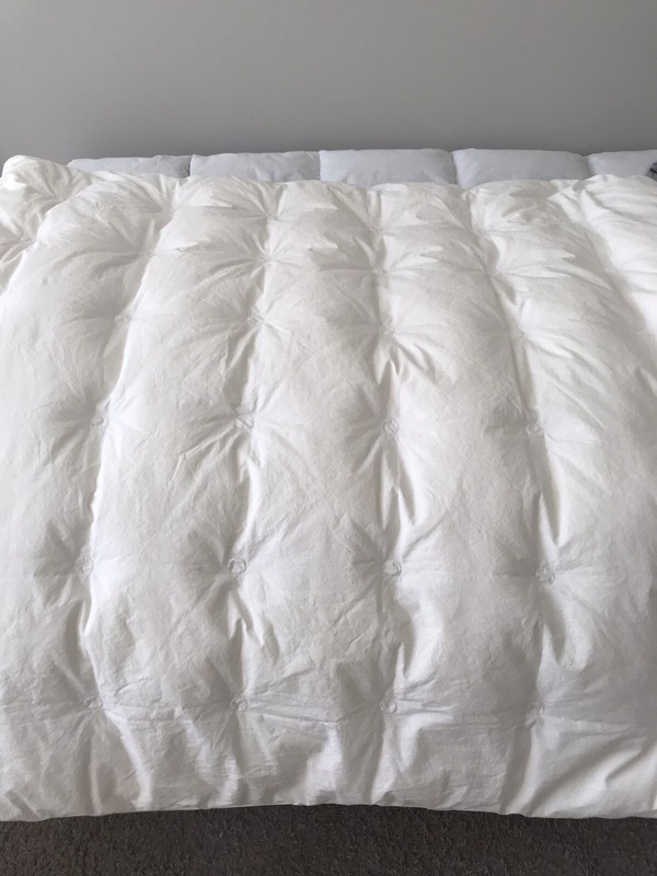 OFELIA DOWN SOFT IVORY COMFORTER SIZE 87in x 87in gallery