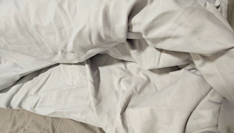 Silk Comforter larger than a king with Cover 84*90 inch/5LB Silk Filled gallery