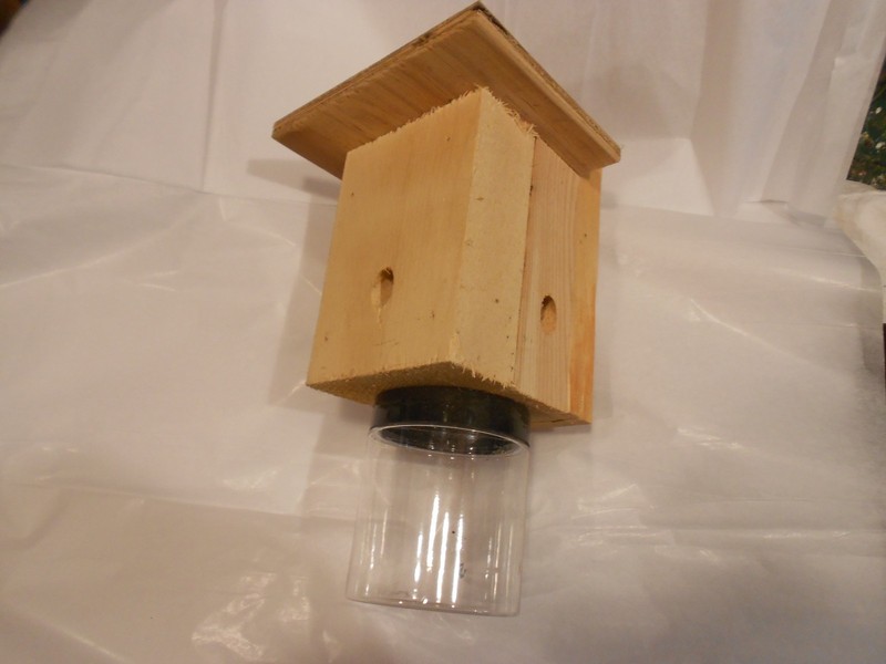 HANDMADE CARPENTER BEE TRAP WITH JAR gallery