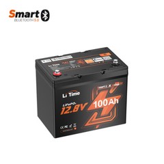 Litime 12V 100Ah Smart Bluetooth Group 24 LiFePO4 Lithium Battery For RV Trailer