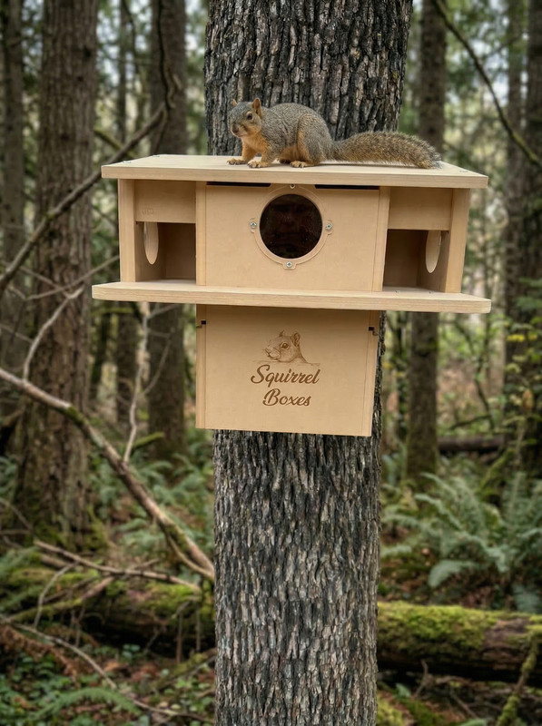 Squirrel Nesting Box gallery