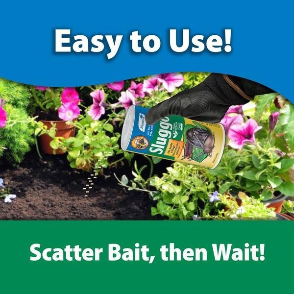 Monterey Sluggo Pet Safe Snail and Slug Killer (1 lb) - NEW Free Shipping gallery