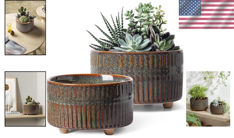 Modern Round Succulent Planters with Drainage Hole, Set of 2, 6.5 & 8 Inch gallery