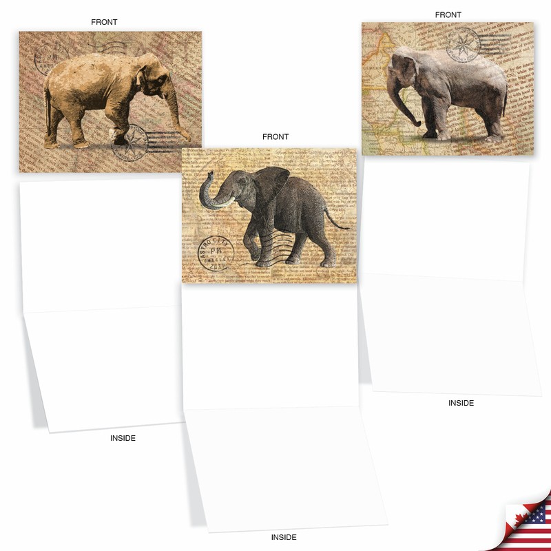 10 Assorted All Occasion Blank Note Cards Pack - Trunk Mail gallery