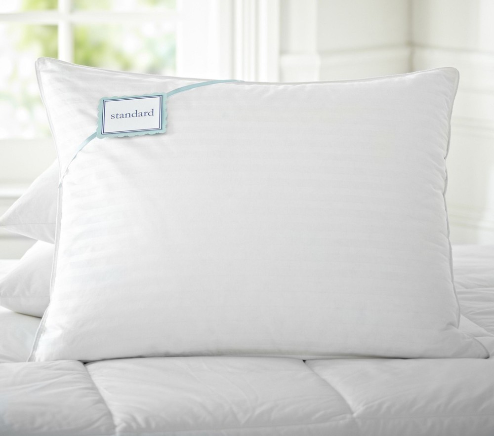 Pottery Barn Premium Down & Feather Chamber Standard Pillow Insert 20 x 26"