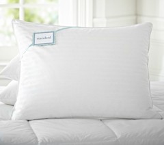 Pottery Barn Premium Down & Feather Chamber Standard Pillow Insert 20 x 26″