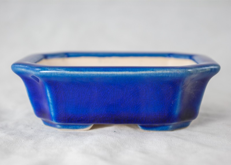 Fine Rectangular Cactus & Succulent, Mame Bonsai Pot + Mesh 4.25"x 3.5"x 1.25" gallery