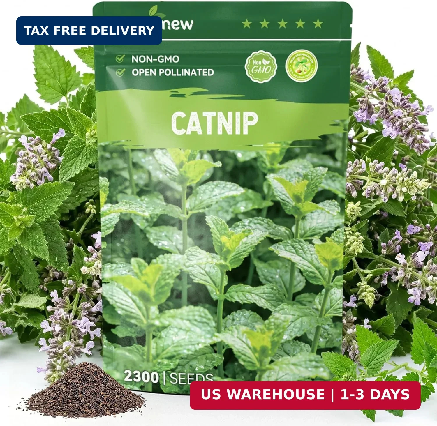 2300 Catnip Seeds for Planting Indoors & Outdoors - Premium Non-GMO Herb Cat Nip gallery