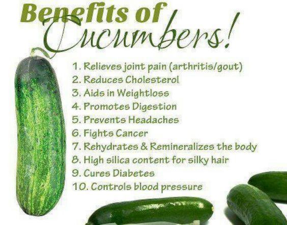 70 Plus National Pickling Cucumber Seeds- Open Pollinated- NON-GMO-Organic gallery