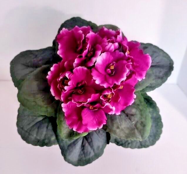 9" Artificial African violet (Fuchsia) without pot gallery