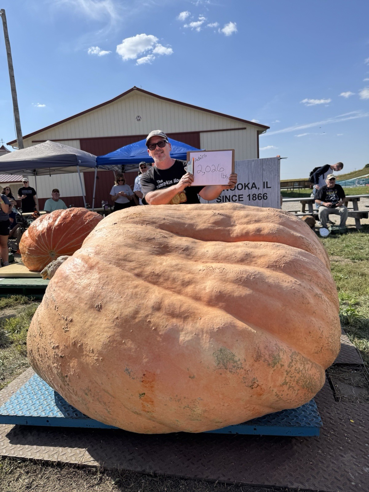 2 Atlantic Giant pumpkin Seeds from our own 2026 pound state champion winner!!! gallery