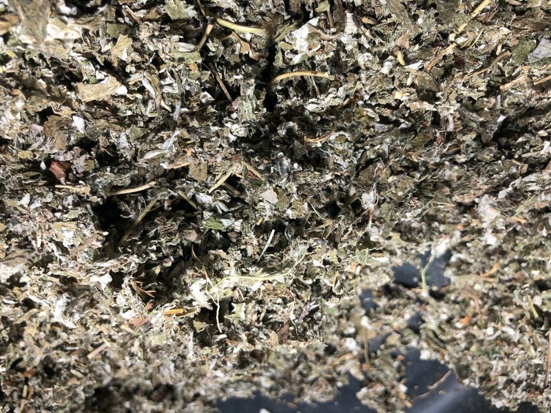 Red Raspberry Leaf ORGANIC cut Wild Crafted￼ rubus idaeus Bulk Herb 1 Lb pound gallery