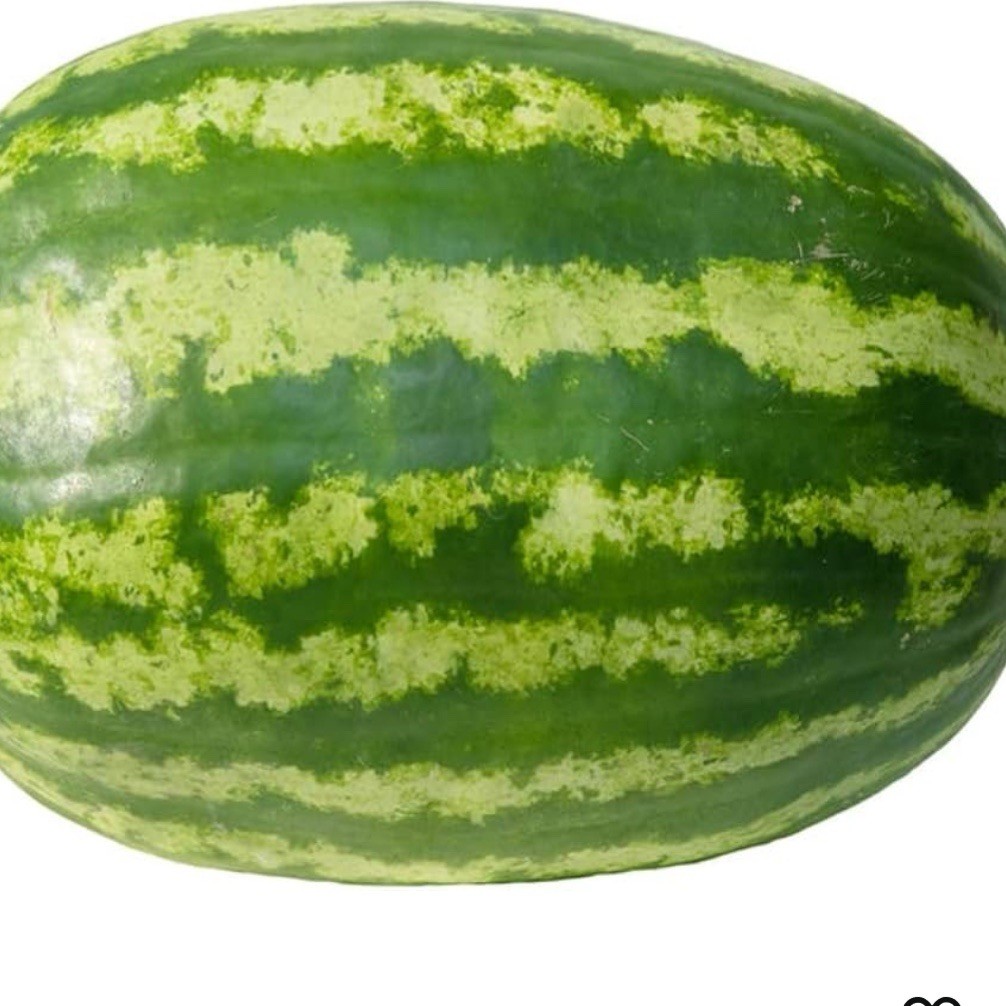 Jubilee Improved Watermelon 25+ Seeds | Heirloom / Non-GMO | Free S&H gallery