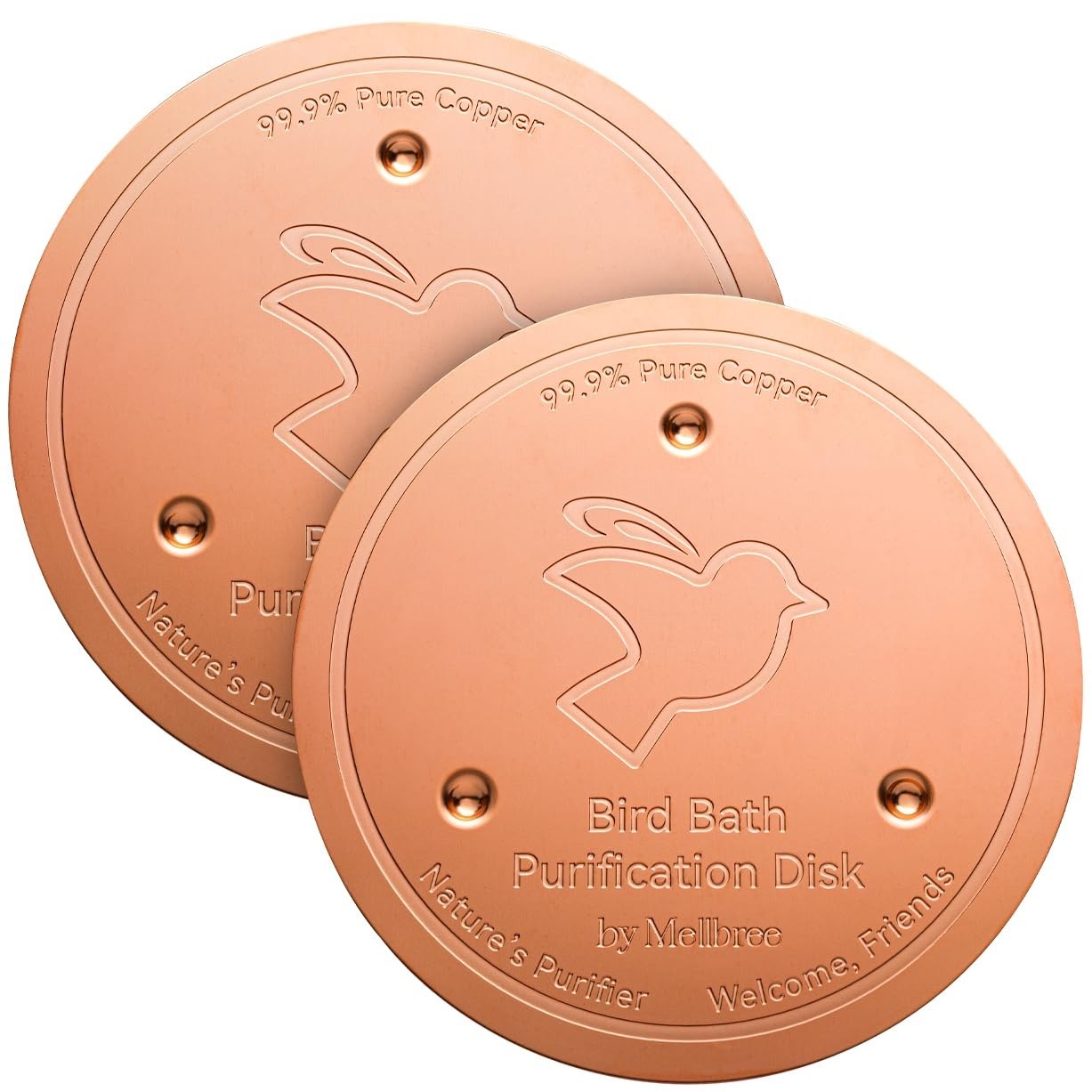2-Pack Copper Bird Bath Cleaning Disks - 0.6mm Reinforced, Pure Copper, All-Seas gallery