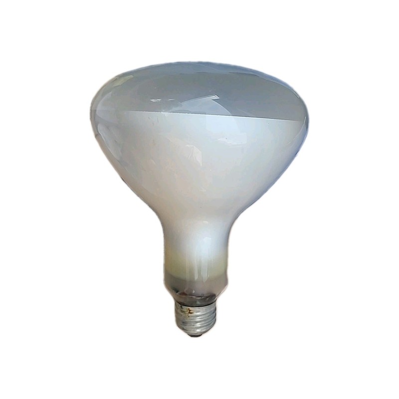 GE Floodlight Bulb Halogen 100 Watts 1500 Lumens Light Output gallery