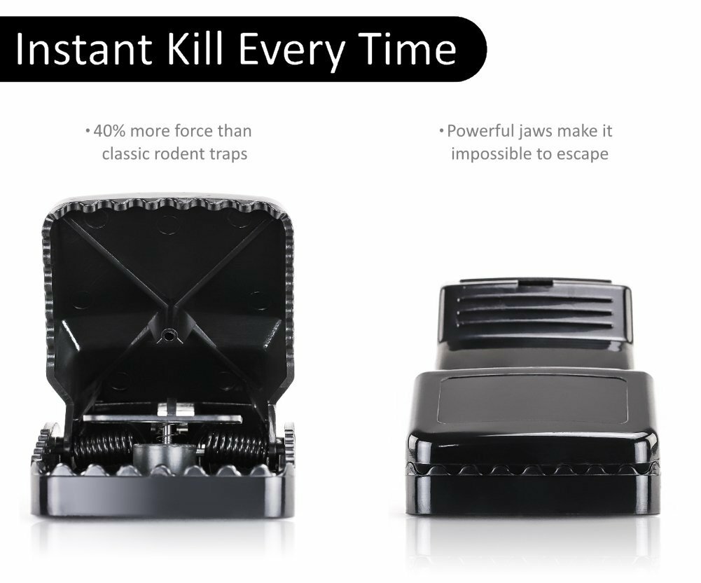 Large Powerful Rat Traps (24 Pack) - Kills Instantly with Powerful Steel Spring gallery