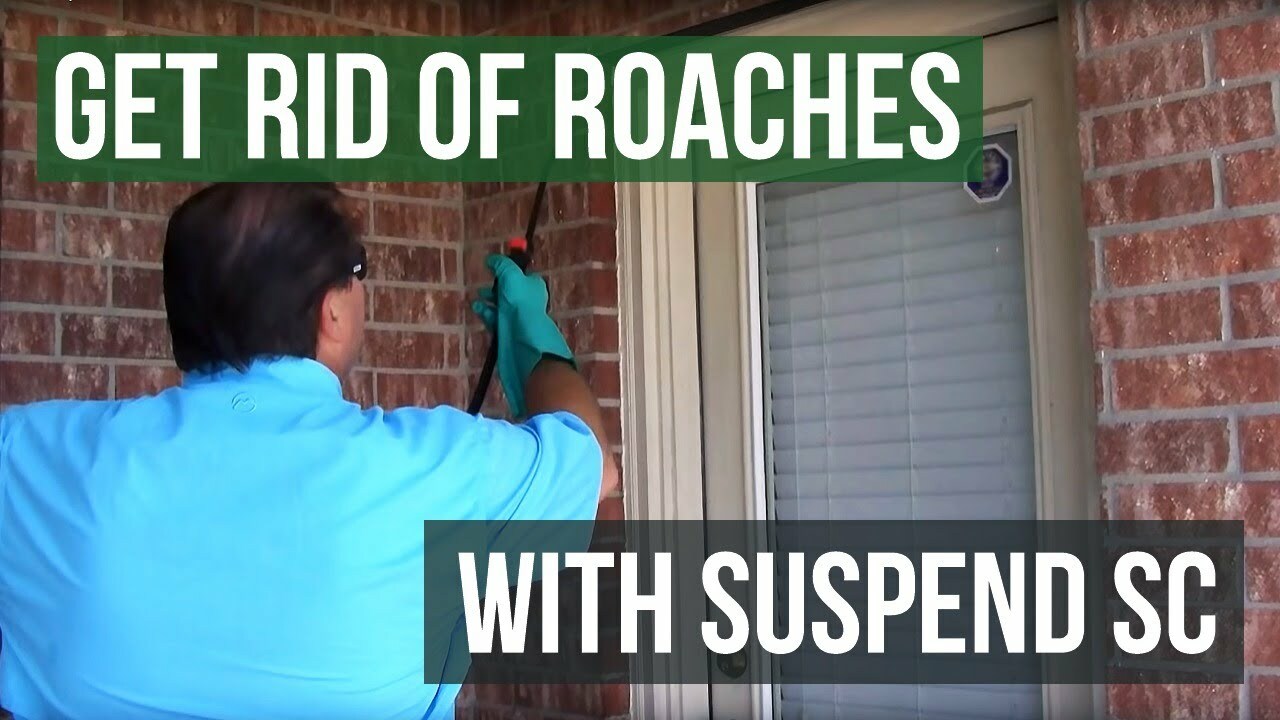 SUSPEND SC Insecticide - *KILLS Ants, bedbugs, cockroaches, fleas and many more* gallery