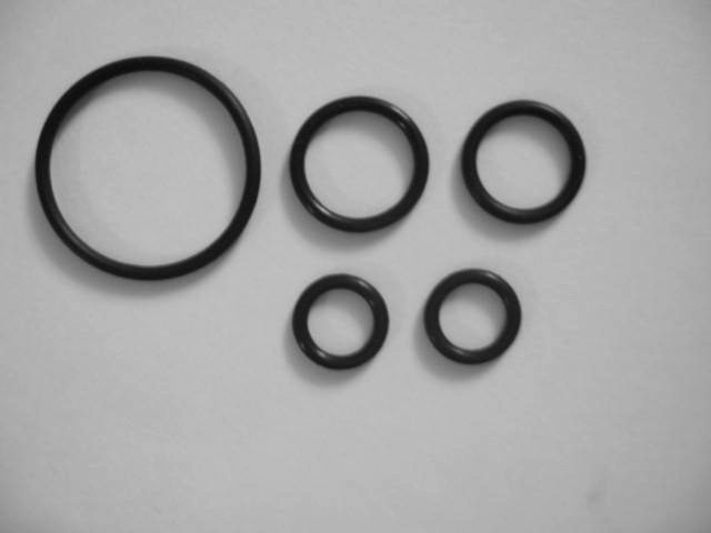 Fleck 5600 Injector Drain Module O-Ring Kit / R&S 011-021F / FDA NSF61 Material gallery