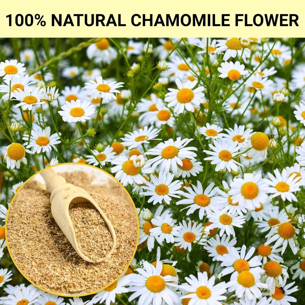 Chamomile Tea Bags, 100% Pure Natural Chamomile Flower Herbal Tea for gallery
