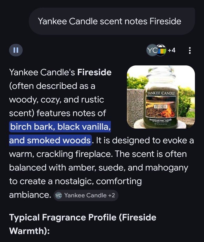 Yankee Candle Fireside Large Jar - Classic Label - NEW HTF gallery