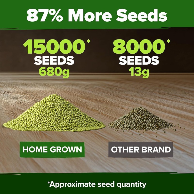 HOME GROWN Mung Beans Seeds Pack 1.5 lb Over 15,000 Sprouting Seeds Grow Fresh M gallery