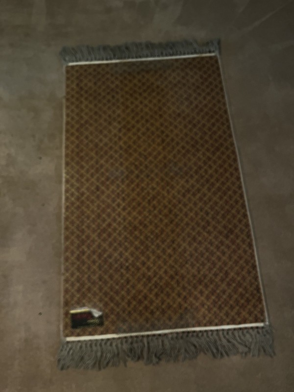 Karastan Maniteau Geometric Pattern Rug 3x5 gallery