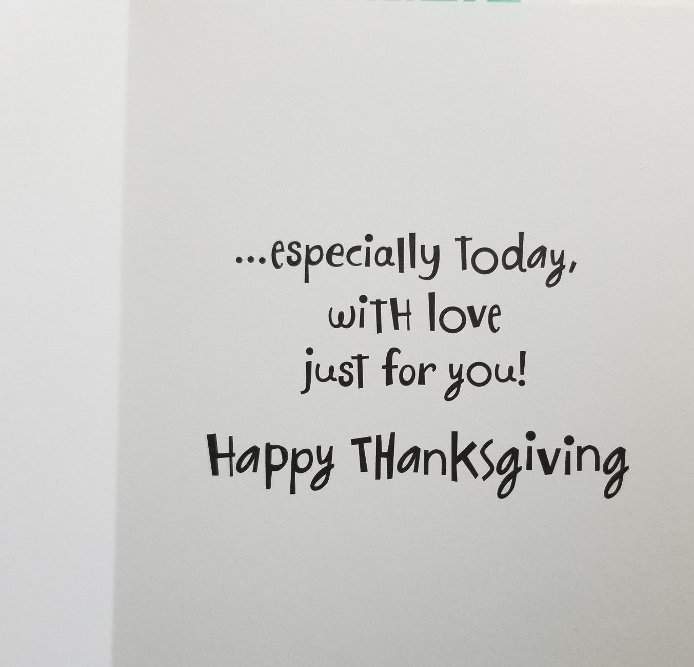 Thanksgiving Greeting Cards Turkey General Anyone Any Age Set of 2 Cards gallery