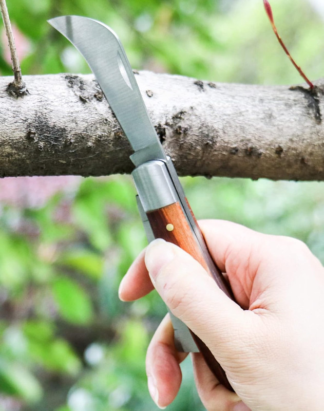 Double Blade Grafting Knife Budding Pruning Tool w 2 Rolls Plant Grafting Tape gallery