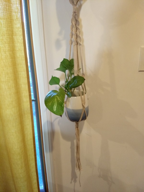 Macrame Plant Hanger Double Two Tier Rope Loop Long Fringe 62" Inch Rope Loop gallery