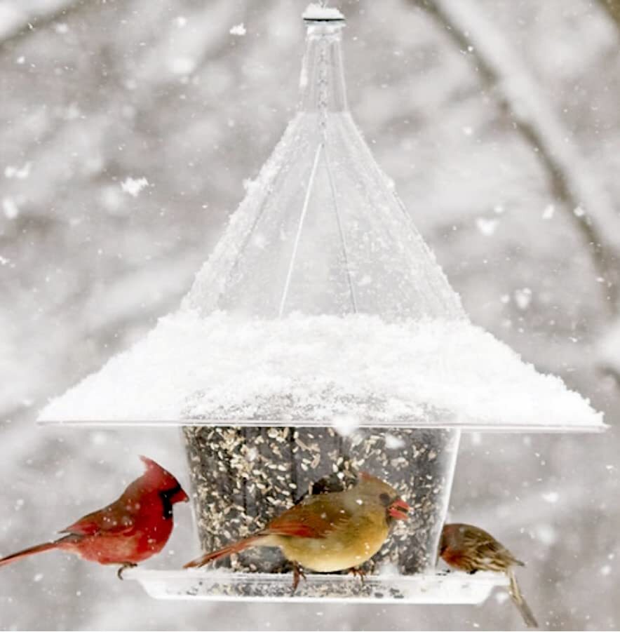 Sky Cafe Squirrel Proof Bird Feeder — Large, 17 in. Diameter gallery