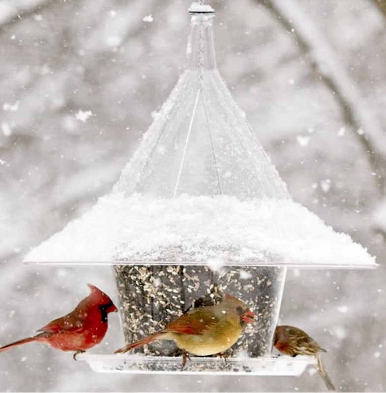 Sky Cafe Squirrel Proof Bird Feeder — Large, 17 in. Diameter gallery