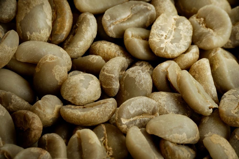 2lb/40lb - Sumatra – Specialty Grade - Premium Unroasted Green Coffee Beans gallery